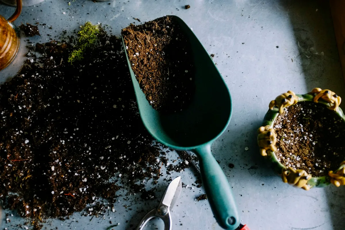 Growing a greener tomorrow, together.